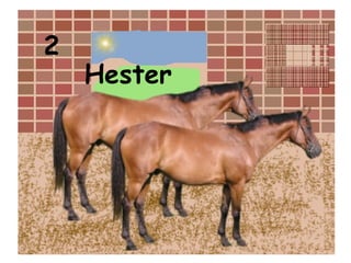 2 Hester 