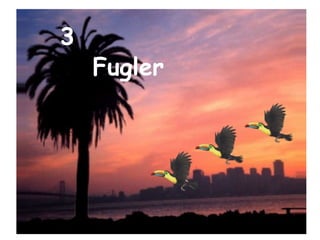 3 Fugler 