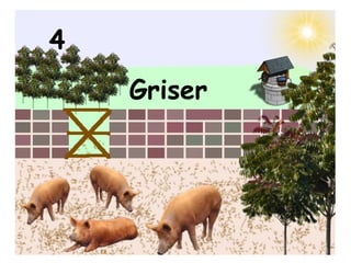 4 Griser 