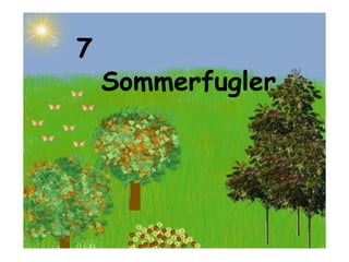 7 Sommerfugler 