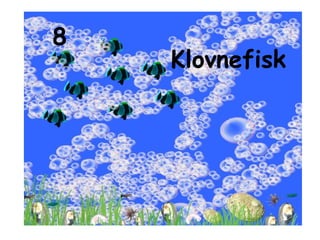 8 Klovnefisk 