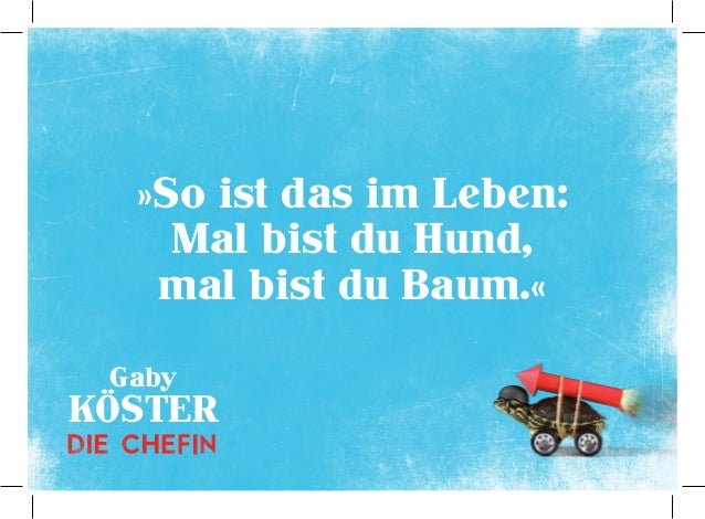 Download So ist das leben sprueche Free HD