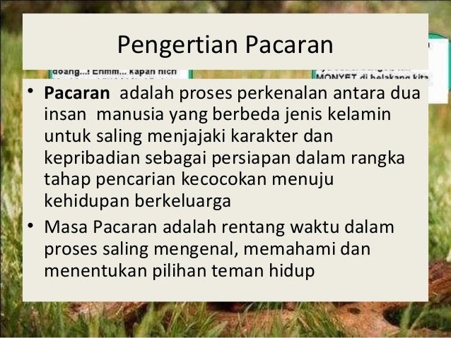 Pel 12 PACARAN