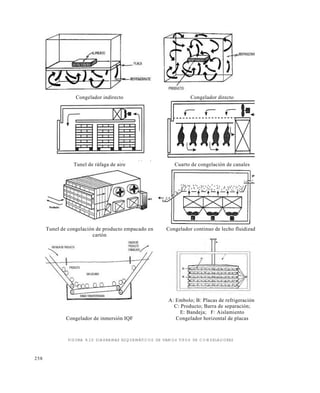 258
FIGURA 9.10 DIAGRAMAS ESQUEMÁTICOS DE VARIOS TIPOS DE CONGELADORES
Congelador indirecto Congelador directo
Tunel de ráfaga de aire Cuarto de congelación de canales
Tunel de congelación de producto empacado en
cartón
Congelador continuo de lecho fluidizado
A: Embolo; B: Placas de refrigeración;
C: Producto; Barra de separación;
E: Bandeja; F: Aislamiento
Congelador de inmersión IQF Congelador horizontal de placas
Este documento se cre€ con la versi€n gratuita de EVALUACI•N de eXpert PDF. Esta marca de agua se eliminar‚ al
comprar la licencia de la versi€n completa de eXpert PDF. Visite www.avanquest.es para obtener m‚s informaci€n
 