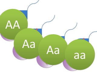 AAAaAaaaaaaaAAAAAAAAaaaaaaaaAAAAAAAAaaaaaaAAaaAAAAAAaaaa