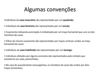 Algumas convenções•Indivíduos do sexo masculino são representados por um quadrado;• Indivíduos do sexo feminino são representados por um círculo;• Casamento indicando procriação é simbolizado por um traço horizontal que une os dois membros do casal;• Filhos do mesmo casamento são representados por traços verticais unidos ao traço horizontal do casal;• Indivíduos de sexo indefinido são representados por um losango;• Indivíduos afetados por alguma anomalia são representados pelo símbolo que caracteriza seu sexo, preenchidos;• No caso de acasalamento consangüíneo, os membros do casal são unidos por dois traços horizontais;