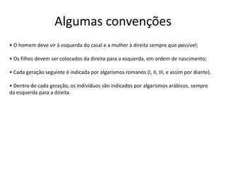 Algumas convenções• O homem deve vir à esquerda do casal e a mulher à direita sempre que possível;• Os filhos devem ser colocados da direita para a esquerda, em ordem de nascimento;• Cada geração seguinte é indicada por algarismos romanos (I, II, III, e assim por diante). • Dentro de cada geração, os indivíduos são indicados por algarismos arábicos, sempre da esquerda para a direita.
