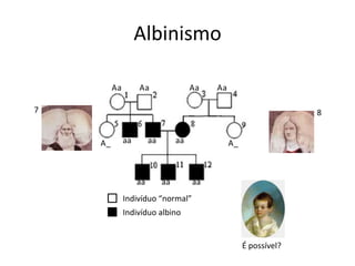 AlbinismoAAAAaaaa78aaaaaaAA__aaaaaaIndivíduo “normal”Indivíduo albinoÉ possível?