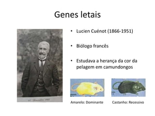 Genes letaisLucienCuénot (1866-1951)Biólogo francêsEstudava a herança da cor da pelagem em camundongosAmarelo: Dominante          Castanho: Recessivo