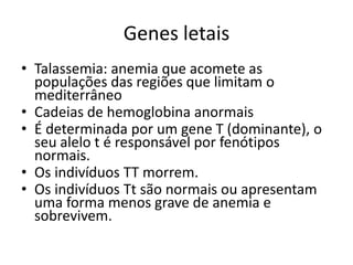 Genes letaisTalassemia: anemia que acomete as populações das regiões que limitam o mediterrâneoCadeias de hemoglobina anormaisÉ determinada por um gene T (dominante), o seu alelo t é responsável por fenótipos normais. Os indivíduos TT morrem. Os indivíduos Tt são normais ou apresentam uma forma menos grave de anemia e sobrevivem.