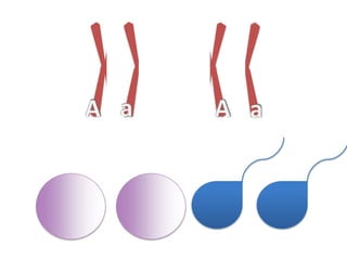 aaAAAAaaaaaaAAaaAAaaAAAAaaaaaaAAaaAAaaAAAAaaaaaaAAaaAA