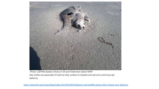 https://www.fws.gov/news/blog/index.cfm/2015/8/5/balloons-and-wildlife-please-dont-release-your-balloons
 
