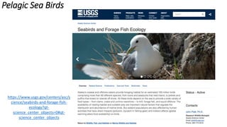 Pelagic Sea Birds
https://www.usgs.gov/centers/asc/s
cience/seabirds-and-forage-fish-
ecology?qt-
science_center_objects=0#qt-
science_center_objects
 
