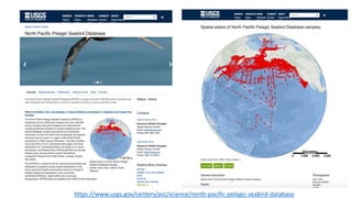 https://www.usgs.gov/centers/asc/science/north-pacific-pelagic-seabird-database
 