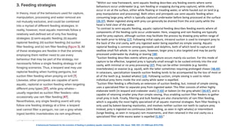 A behavioural framework for the evolution of feeding in predatory aquatic mammals, Volume: 284, Issue: 1850, DOI: (10.1098/rspb.2016.2750)
“Within our new framework, semi-aquatic feeding describes any feeding events where some
behaviours occur underwater (e.g. ram feeding or snapping during prey capture), while others
occur in air at the surface, either while floating or treading water, or while hauled out on land (e.g.
prey manipulation and processing). Both otters and pinnipeds use semi-aquatic feeding when
consuming large prey, which is typically captured underwater before being processed at the surface
[26,37]. Water ingested along with prey can generally be drained from the oral cavity while the
head is held clear of the water.
“In contrast to semi-aquatic feeding, aquatic raptorial feeding describes feeding events where all
components of the feeding cycle occur underwater. Here, snapping and ram feeding are typically
used for prey capture, although suction may facilitate the process by drawing prey within range of
the teeth prior to biting [17]. Following initial capture, intraoral suction is used to transport prey to
the back of the oral cavity, with any ingested water being expelled via simple sieving. Aquatic
raptorial feeding is common among pinnipeds and dolphins, both of which tend to capture and
swallow small fish whole. In some cases, however, larger prey is also targeted and may be partly
processed underwater by shaking or tearing [38].
“Suction feeding describes events where prey capture occurs mainly via suction. For this mode of
capture to be effective, targeted prey is typically small enough to be sucked entirely into the oral
cavity, with minimal or no prey processing [37]. Prey can be either immobile (e.g. benthic
invertebrates) or evasive (e.g. squid), with the latter sometimes requiring prolonged chases [48,49].
In cetaceans, specialization towards suction feeding tends to be accompanied by the loss of most or
all of the teeth (e.g. beaked whales) [14]. Following suction, simple sieving is used to retain
individual prey items inside the oral cavity while water is expelled.
“Suction filter feeding is effectively an extension of suction feeding, but, instead of simple sieving,
uses a specialized filter to separate prey from ingested water. This filter consists of either highly
elaborate teeth (in leopard and crabeater seals) [7,43] or baleen (in the grey whale) [34,47], and is
capable of retaining smaller prey than simple sieving, thus enabling suction filter feeders to gather
small prey in bulk. Finally, filtering and bulk feeding are also characteristic of ram filter feeding,
which is arguably the most highly specialized of all aquatic mammal strategies. Ram filter feeding is
only used by baleen-bearing mysticetes, and involves neither suction nor teeth to capture prey.
Instead, prey is ingested via continuous (skim feeding, as seen in right whales) or intermittent
(lunge feeding, as seen in rorquals) ram movements, and then retained in the oral cavity via a
specialized filter while excess water is expelled [5,50].”
 