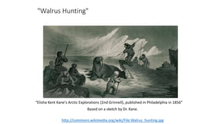 "Walrus Hunting"
“Elisha Kent Kane's Arctic Explorations (2nd Grinnell), published in Philadelphia in 1856”
Based on a sketch by Dr. Kane.
http://commons.wikimedia.org/wiki/File:Walrus_hunting.jpg
 