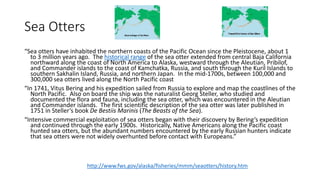 Sea Otters
“Sea otters have inhabited the northern coasts of the Pacific Ocean since the Pleistocene, about 1
to 3 million years ago. The historical range of the sea otter extended from central Baja California
northward along the coast of North America to Alaska, westward through the Aleutian, Pribilof,
and Commander islands to the coast of Kamchatka, Russia, and south through the Kuril Islands to
southern Sakhalin Island, Russia, and northern Japan. In the mid-1700s, between 100,000 and
300,000 sea otters lived along the North Pacific coast
“In 1741, Vitus Bering and his expedition sailed from Russia to explore and map the coastlines of the
North Pacific. Also on board the ship was the naturalist Georg Steller, who studied and
documented the flora and fauna, including the sea otter, which was encountered in the Aleutian
and Commander islands. The first scientific description of the sea otter was later published in
1751 in Steller’s book De Bestiis Marinis (The Beasts of the Sea).
“Intensive commercial exploitation of sea otters began with their discovery by Bering’s expedition
and continued through the early 1900s. Historically, Native Americans along the Pacific coast
hunted sea otters, but the abundant numbers encountered by the early Russian hunters indicate
that sea otters were not widely overhunted before contact with Europeans.”
http://www.fws.gov/alaska/fisheries/mmm/seaotters/history.htm
 