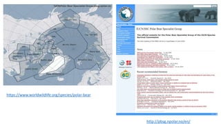 https://www.worldwildlife.org/species/polar-bear
http://pbsg.npolar.no/en/
 