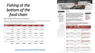 Fishing at the
bottom of the
food chain
https://www.ccamlr.org/en/fisheries/krill
 