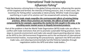 “International Trade Increasingly
Influences Fishing”
“Trade has become a driving force in the global fishing enterprise, influencing the species
of fish targeted and farmed, the intensity of fishing pressure, and, in many cases, the
incentives for fishing either sustainably or destructively. Whether trade encourages
overfishing or is part of its solution can’t be answered with certainty. However,
it is likely that trade simply magnifies the environmental effects of existing fishing
practices. Where those practices are harmful, the effects of trade will be
compounded by for example, expanding the market for fish caught in this way, or by
providing easier market access to illegally harvested products.
Part of the problem is that the World Trade Organization (WTO) trade rules are often in
conflict with trade restrictions that aim to promote sustainable fishing practices. Some
steps to reconcile environment and trade rules would require granting observer status
at the WTO to the UN Environment Programme and to the secretariats of international
environmental treaties, incorporating the precautionary approach into WTO and other
trade rules, and reducing environmentally harmful fisheries Subsidies through
negotiations within the WTO and other trade bodies…”
http://www.wri.org/sites/default/files/pdf/fishanswer_fulltext.pdf
 