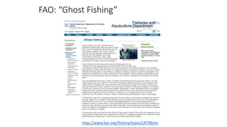 FAO: “Ghost Fishing”
http://www.fao.org/fishery/topic/14798/en
 