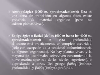 o Antropelágica (1000 m, aproximadamente): Esta es
una zona de trancisión; en algunas fosas existe
presencia
de
material
orgánico
(pero
no
existen plantas vivas).
o Batipelágica o Batial (de los 1000 m hasta los 4000 m,
aproximadamente):
A
esta
profundidad
el océano está prácticamente en completa oscuridad
(sólo con excepción de la ocasional bioluminiscencia
de algunos organismos). No hay plantas vivas, y la
mayoría de losanimales sobreviven consumiendo la
nieve marina (que cae de los niveles superiores), o
depredando a otros. Del griego βάθος (bathos),
profundidad, y βαθύς (bathys), profundo.

 