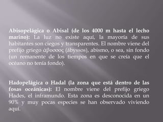 Abisopelágica o Abisal (de los 4000 m hasta el lecho
marino): La luz no existe aquí, la mayoría de sus
habitantes son ciegos y transparentes. El nombre viene del
prefijo griego άβυσσος (ábyssos), abismo, o sea, sin fondo
(un remanente de los tiempos en que se creía que el
océano no tenía fondo).
Hadopelágica o Hadal (la zona que está dentro de las
fosas oceánicas): El nombre viene del prefijo griego
Hades, el inframundo. Esta zona es desconocida en un
90% y muy pocas especies se han observado viviendo
aquí.

 