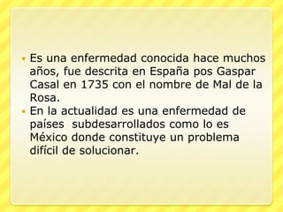  Es una enfermedad conocida hace muchos
  años, fue descrita en España pos Gaspar
  Casal en 1735 con el nombre de Mal de la
  Rosa.
 En la actualidad es una enfermedad de
  países subdesarrollados como lo es
  México donde constituye un problema
  difícil de solucionar.
 