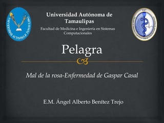 E.M. Ángel Alberto Benítez Trejo
Universidad Autónoma de
Tamaulipas
Facultad de Medicina e Ingeniería en Sistemas
Computacionales
 