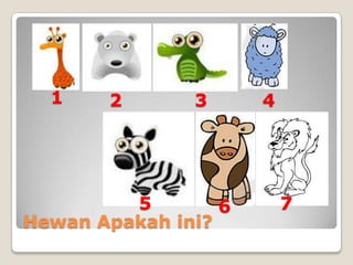 1    2       3      4




         5        6       7
Hewan Apakah ini?
 