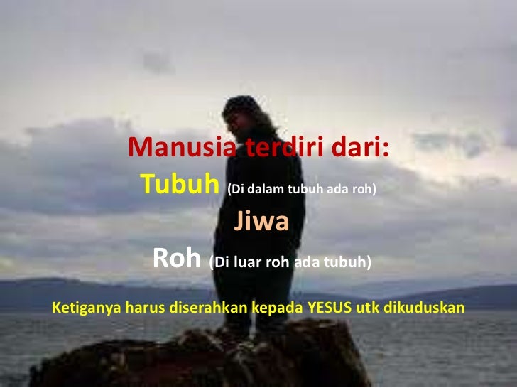 Pelaj 9 roh manusia