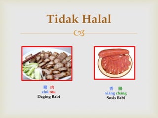 Tidak Halal 
 
豬肉 
zhū ròu 
Daging Babi 
香腸 
xiāng cháng 
Sosis Babi 
 