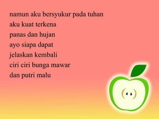 namun aku bersyukur pada tuhan
aku kuat terkena
panas dan hujan
ayo siapa dapat
jelaskan kembali
ciri ciri bunga mawar
dan putri malu
 