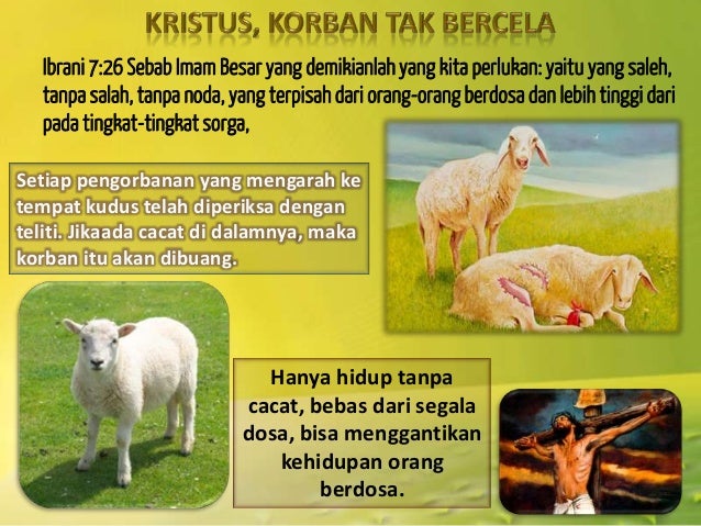Pelajaran sekolah sabat ke 7 triwulan iv kristus korban kita