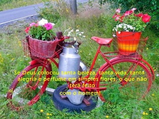 Se Deus colocou tanta beleza, tanta vida, tanta
 alegria e perfume em simples flores, o que não
                   terá feito
                com o homem!
 