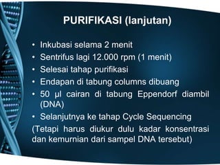PURIFIKASI (lanjutan)

• Inkubasi selama 2 menit
• Sentrifus lagi 12.000 rpm (1 menit)
• Selesai tahap purifikasi
• Endapan di tabung columns dibuang
• 50 µl cairan di tabung Eppendorf diambil
  (DNA)
• Selanjutnya ke tahap Cycle Sequencing
(Tetapi harus diukur dulu kadar konsentrasi
dan kemurnian dari sampel DNA tersebut)
 