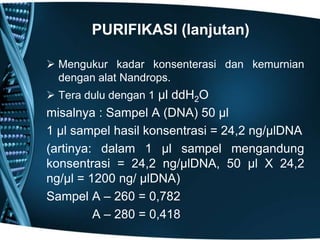 PURIFIKASI (lanjutan)

 Mengukur kadar konsenterasi dan kemurnian
  dengan alat Nandrops.
 Tera dulu dengan 1 µl ddH2O
misalnya : Sampel A (DNA) 50 µl
1 µl sampel hasil konsentrasi = 24,2 ng/µlDNA
(artinya: dalam 1 µl sampel mengandung
konsentrasi = 24,2 ng/µlDNA, 50 µl X 24,2
ng/µl = 1200 ng/ µlDNA)
Sampel A – 260 = 0,782
         A – 280 = 0,418
 