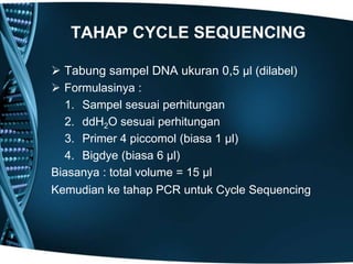 TAHAP CYCLE SEQUENCING

 Tabung sampel DNA ukuran 0,5 µl (dilabel)
 Formulasinya :
  1. Sampel sesuai perhitungan
  2. ddH2O sesuai perhitungan
  3. Primer 4 piccomol (biasa 1 µl)
  4. Bigdye (biasa 6 µl)
Biasanya : total volume = 15 µl
Kemudian ke tahap PCR untuk Cycle Sequencing
 