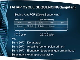 TAHAP CYCLE SEQUENCING(lanjutan)
  Setting Alat PCR (Cycle Sequencing)
  Pre – PCR              Cycle Sequencing
    96ºC       96ºC      50ºC       60ºC     4ºC
   3 menit    10 detik   5 detik   4 menit   ~



 1 X Cycle            25 X Cycle
Ket :
Suhu 96ºC : Denaturasi
Suhu 50ºC : Anealing (penempelan primer)
Suhu 60ºC : Elongation (perpanjangan urutan basa)
Selanjutnya ketahap presipitasi 
 