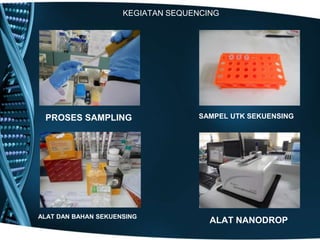 KEGIATAN SEQUENCING




 PROSES SAMPLING                   SAMPEL UTK SEKUENSING




ALAT DAN BAHAN SEKUENSING
                                      ALAT NANODROP
 