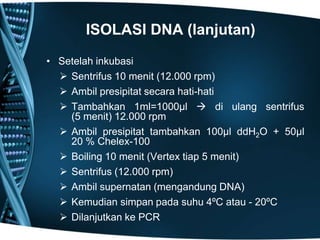 ISOLASI DNA (lanjutan)
• Setelah inkubasi
   Sentrifus 10 menit (12.000 rpm)
   Ambil presipitat secara hati-hati
   Tambahkan 1ml=1000µl  di ulang sentrifus
    (5 menit) 12.000 rpm
   Ambil presipitat tambahkan 100µl ddH2O + 50µl
    20 % Chelex-100
   Boiling 10 menit (Vertex tiap 5 menit)
   Sentrifus (12.000 rpm)
   Ambil supernatan (mengandung DNA)
   Kemudian simpan pada suhu 4ºC atau - 20ºC
   Dilanjutkan ke PCR
 