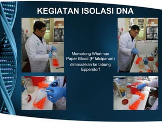 KEGIATAN ISOLASI DNA




         Memotong Whatman
      Paper Blood (P falciparum)
        dimasukkan ke tabung
             Eppendorf
 