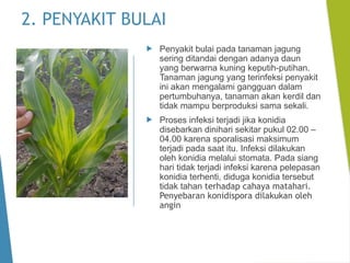 Pelatihan Tematik Budidaya Jagung (OPT).pptx