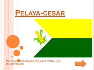 PELAYA-CESAR




http://en.wikipedia.org/wiki/File:Flag_of_Pelaya,_Ces
ar_Colombia.png
 