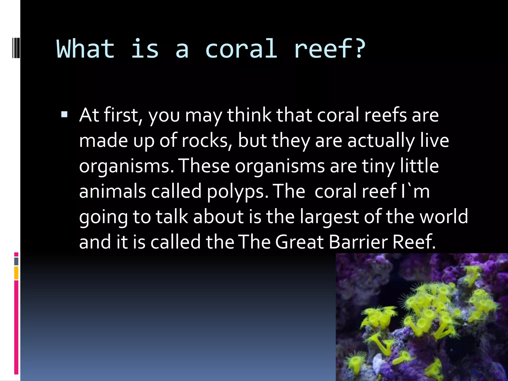 What is a coral reef?
At first, you may think that coral reefs are
made up of rocks, but they are actually live
organisms.These organisms are tiny little
animals called polyps.The coral reef I`m
going to talk about is the largest of the world
and it is called theThe Great Barrier Reef.