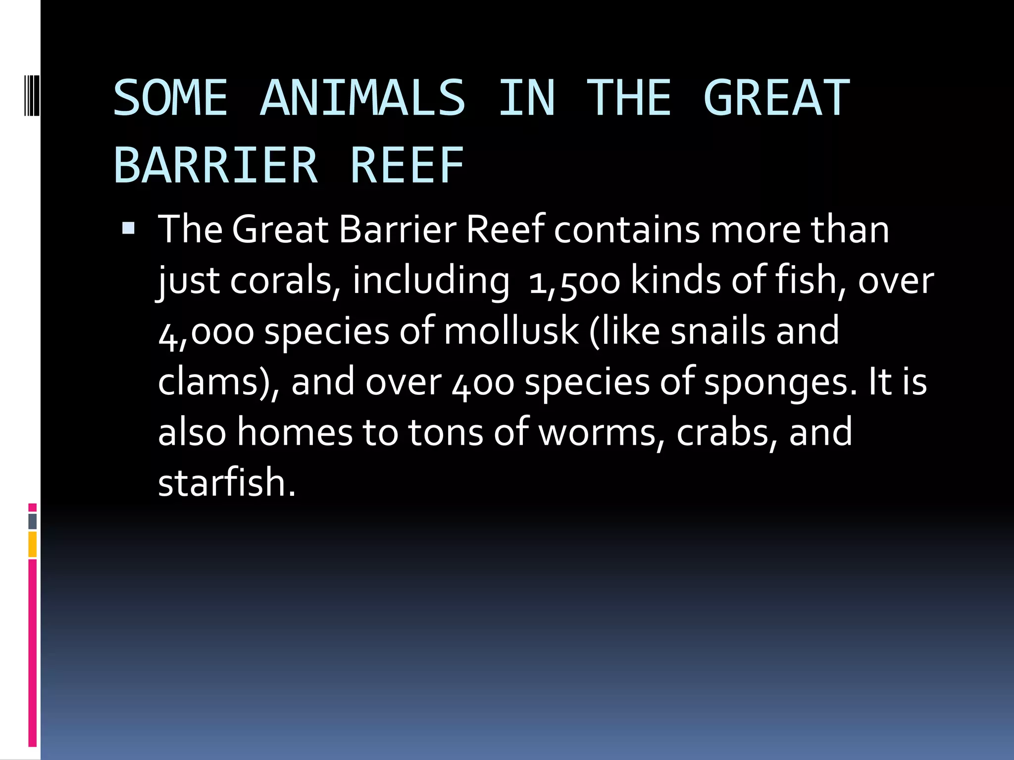 SOME ANIMALS IN THE GREAT
BARRIER REEF
The Great Barrier Reef contains more than
just corals, including 1,500 kinds of fish, over
4,000 species of mollusk (like snails and
clams), and over 400 species of sponges. It is
also homes to tons of worms, crabs, and
starfish.