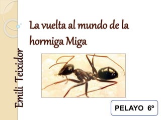 La vuelta al mundo de la
hormiga Miga
EmiliTeixidor
PELAYO 6º
 