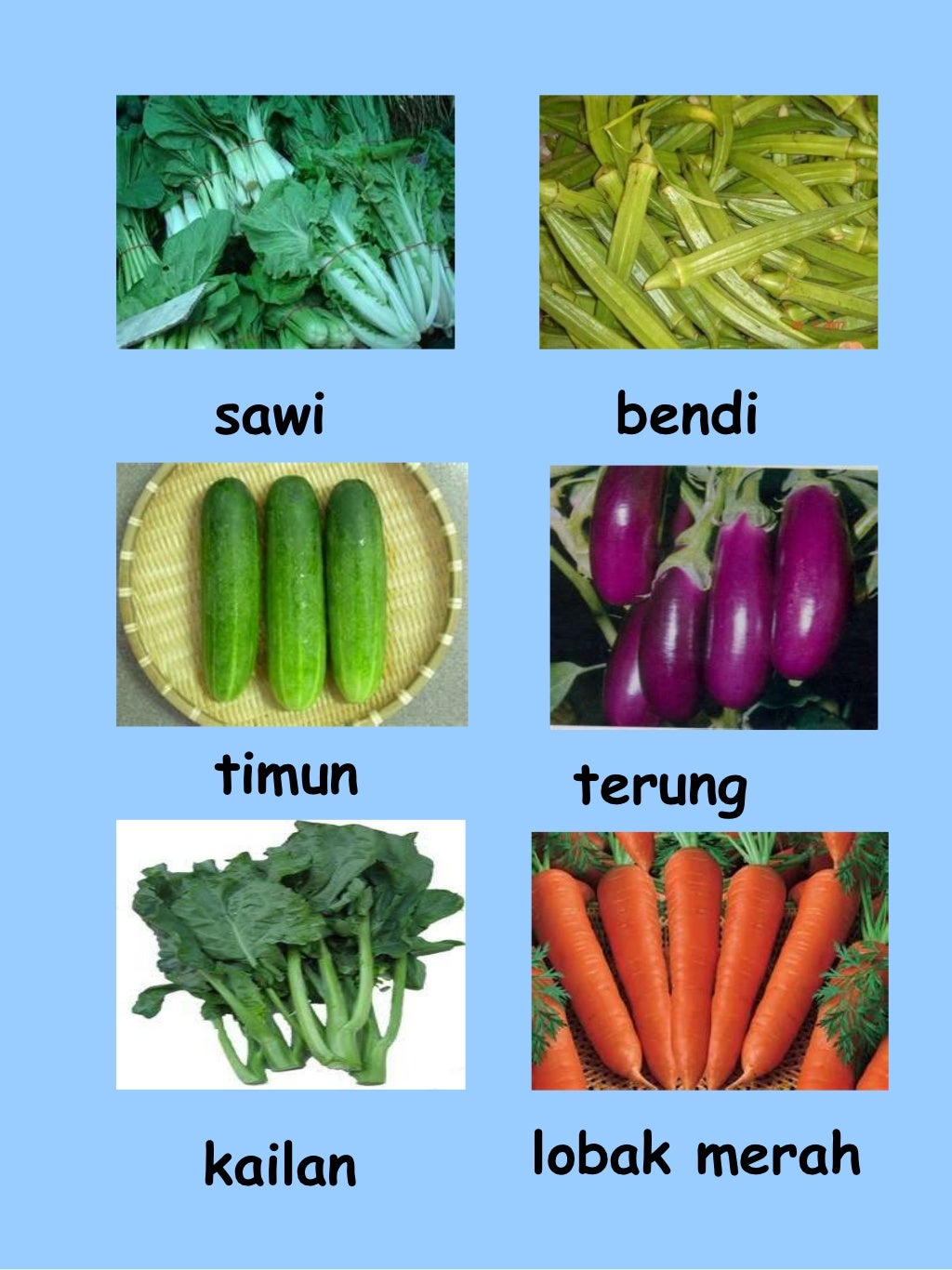 Pelbagai jenis sayur sayuran
