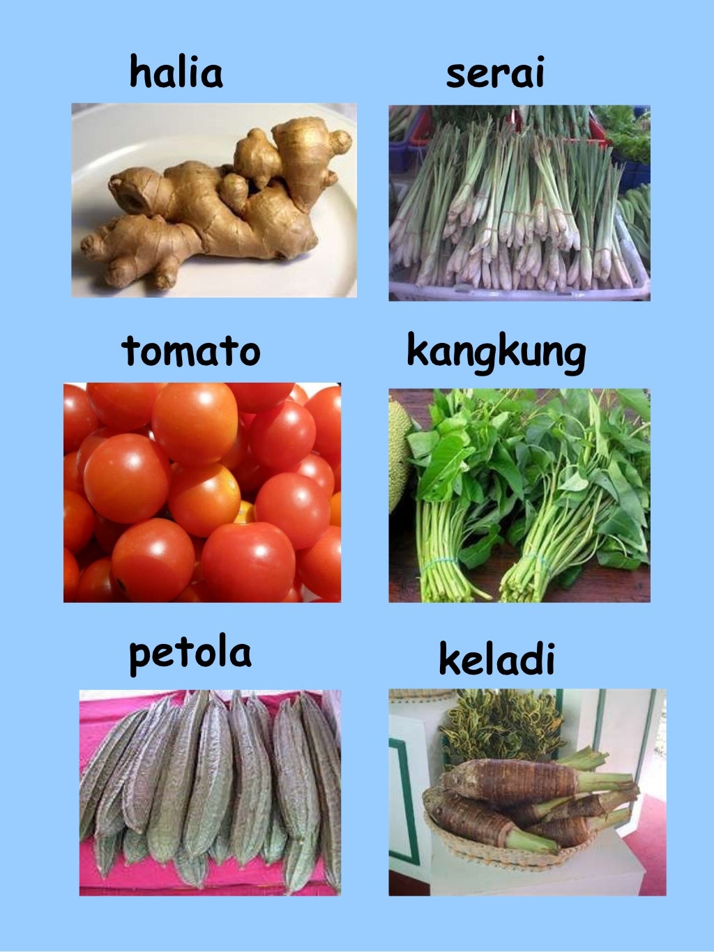 Pelbagai jenis sayur sayuran