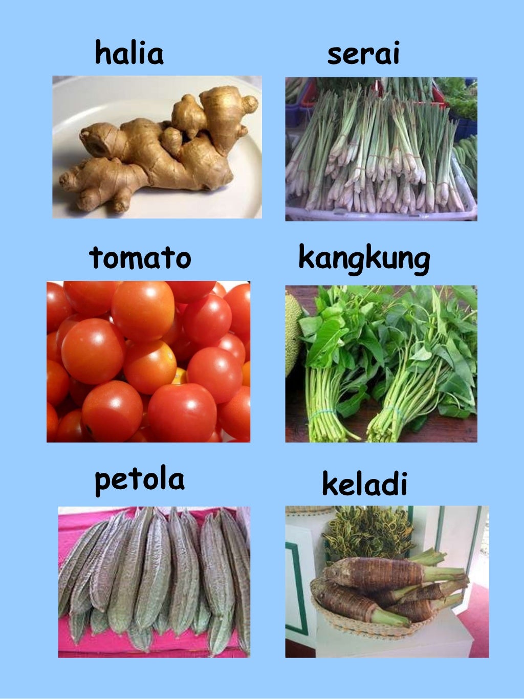 Pelbagai jenis  sayur sayuran 